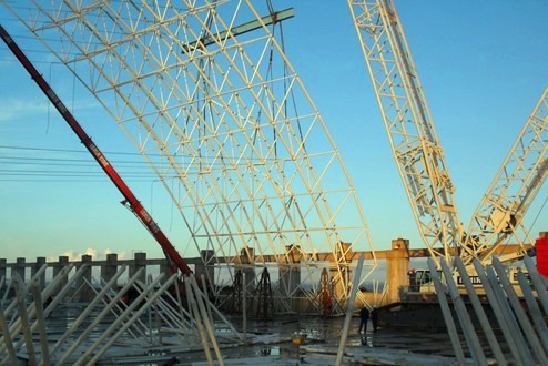 东港专业的技术